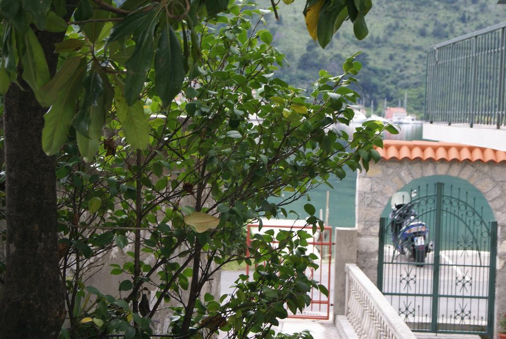 Apartment Kotor-Andrija Jovanovic Zimmer foto